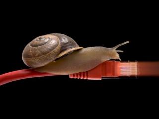 La tua adsl va come una lumaca? Offerte internet flat ha la soluzione per te